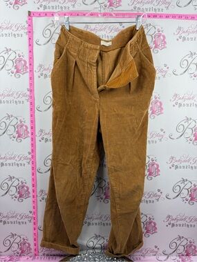 Wilfred Aritzia pants brown tan Corduroy Pleated Pants in Camel